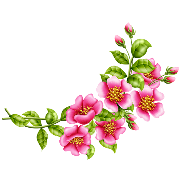 Transparent Floral Design Flower Garden Roses Pink for Valentines Day
