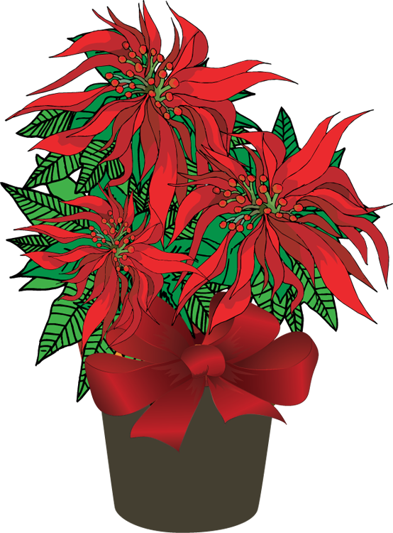 Transparent Poinsettia Plant Christmas Flower for Christmas