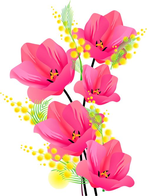 Transparent Flower Floral Design Floral Illustrations Pink for Valentines Day