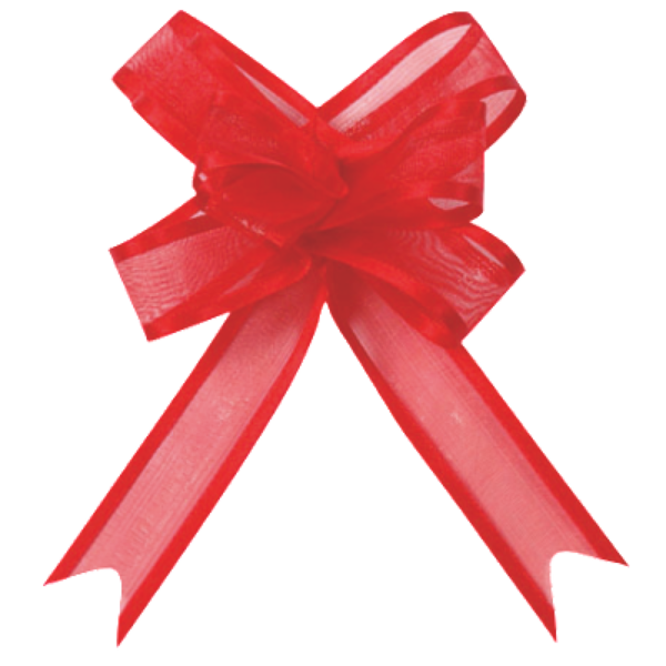 Transparent Paper Red Ribbon for Christmas
