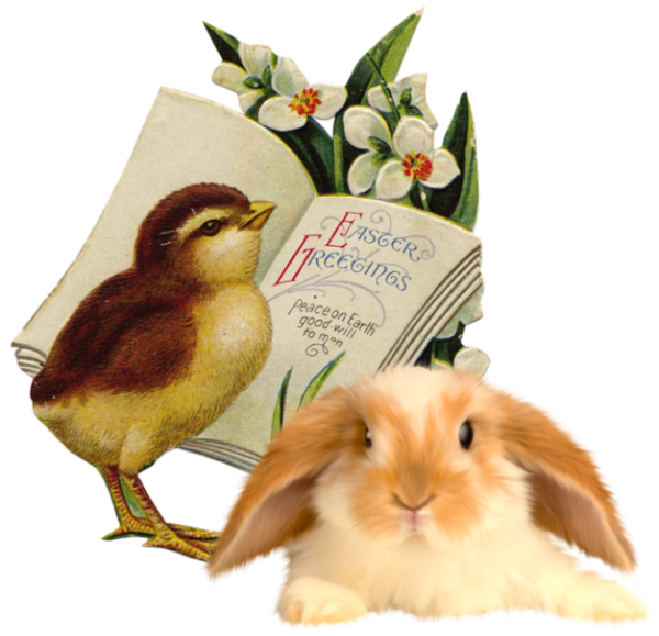 Transparent Easter Bunny Easter Easter Postcard Rabbit Beak for Easter