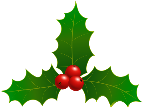 Transparent Christmas Graphics Christmas Day Common Holly Holly Leaf for Christmas