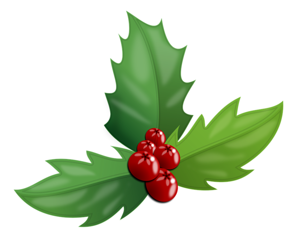 Transparent Berry Christmas Bilberry Plant Leaf for Christmas