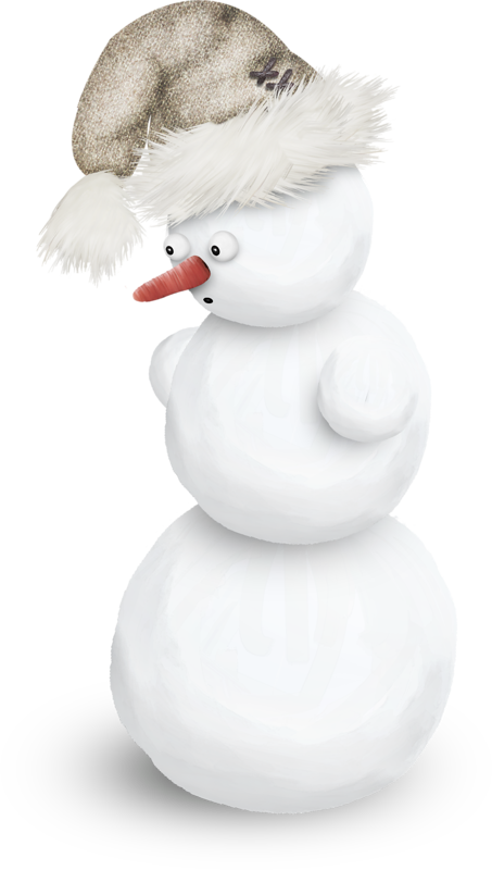 Transparent Snowman Snow Blog Water Bird for Christmas