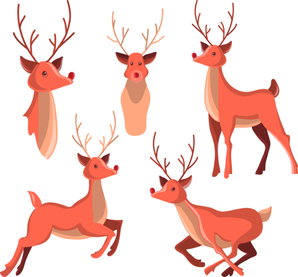 Transparent Reindeer Deer Drawing Tail for Christmas