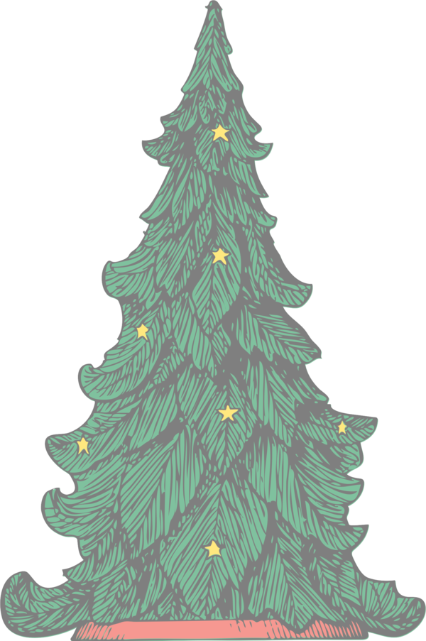 Transparent Shortleaf Black Spruce Balsam Fir Colorado Spruce for Christmas
