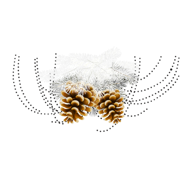 Transparent Snow Conifer Cone Pine Text Commodity for Christmas
