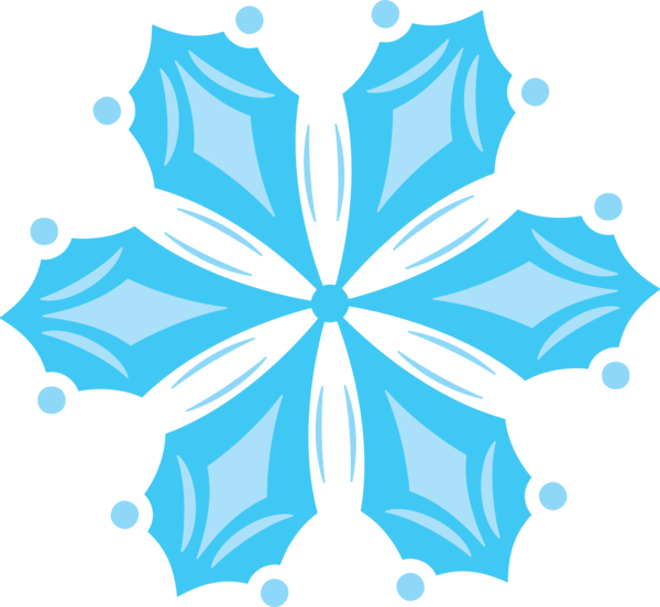 Transparent Snowflake Winter Snow Blue Flower for Christmas