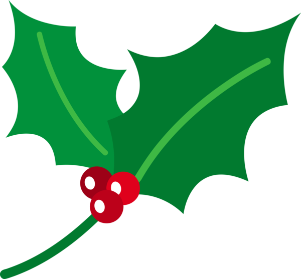 Transparent Christmas Holly Leaf Plant for Holly for Christmas