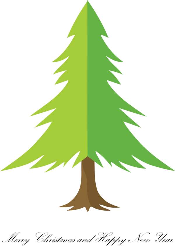 Transparent Christmas White pine Tree oregon pine for Merry Christmas for Christmas