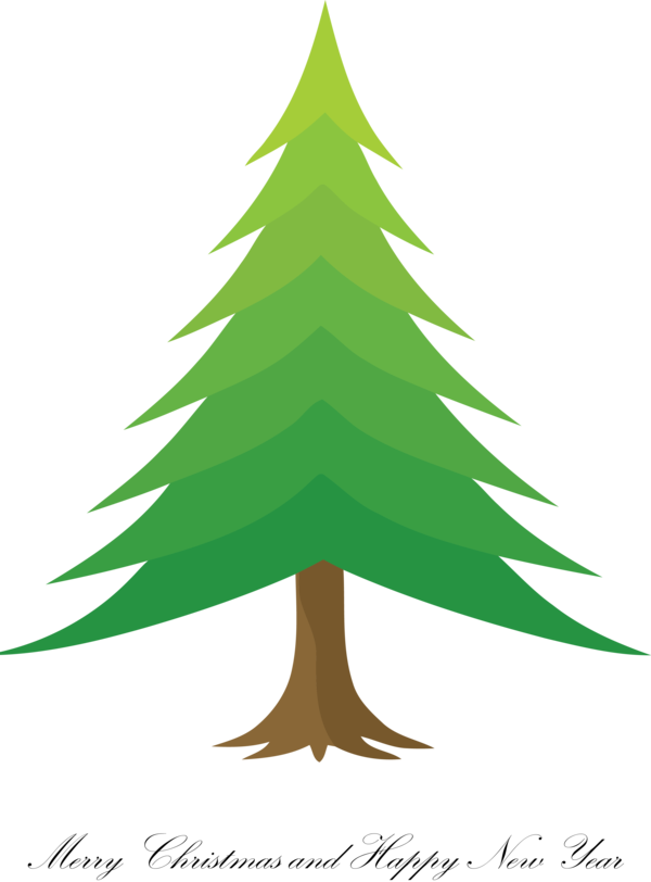Transparent Christmas White pine Tree Colorado spruce for Merry Christmas for Christmas