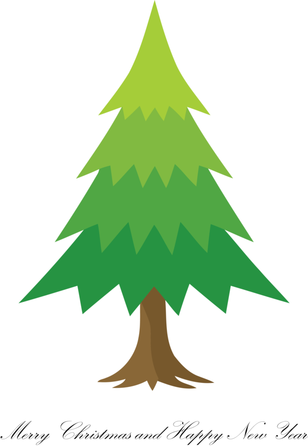 Transparent Christmas Colorado spruce oregon pine White pine for Merry Christmas for Christmas