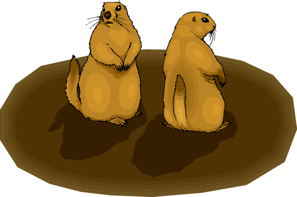 Transparent Groundhog Day California sea lion Seal Cartoon for Groundhog for Groundhog Day