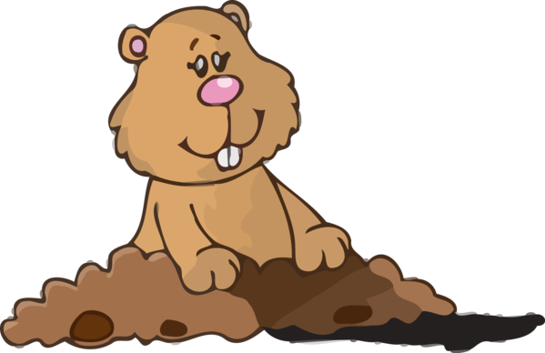 Transparent Groundhog Day Cartoon Brown bear Grizzly bear for Groundhog for Groundhog Day