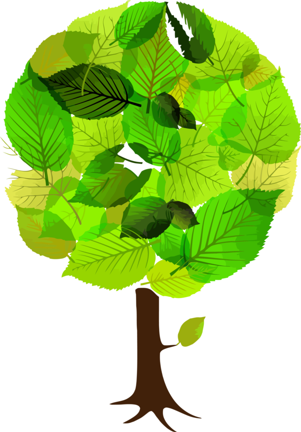 Transparent Tu Bishvat Leaf Green Plant for Tu Bishvat Tree for Tu Bishvat
