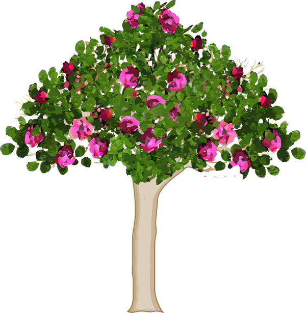 Transparent Tu Bishvat Flower Plant Tree for Tu Bishvat Tree for Tu Bishvat