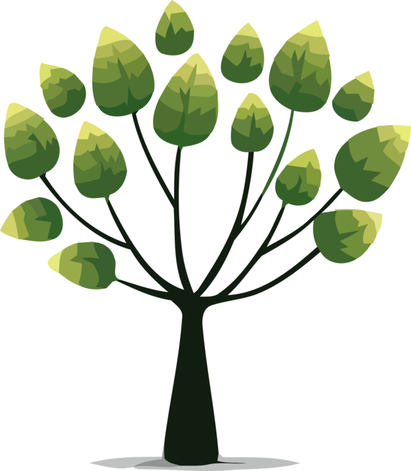 Transparent Tu Bishvat Leaf Green Tree for Tu Bishvat Tree for Tu Bishvat
