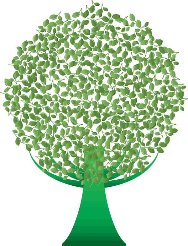 Transparent Tu Bishvat Green Leaf Tree for Tu Bishvat Tree for Tu Bishvat
