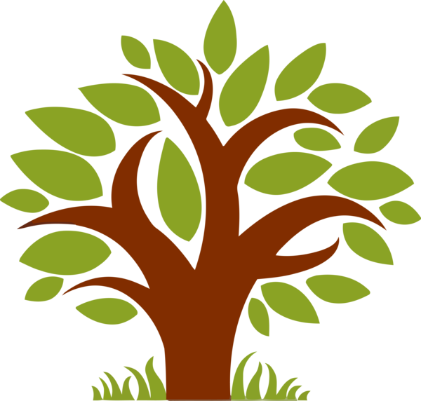 Transparent Tu Bishvat Tree Leaf Green for Tu Bishvat Tree for Tu Bishvat