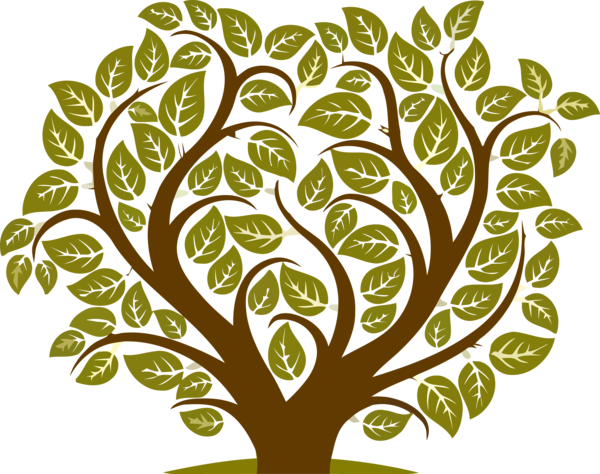 Transparent Tu Bishvat Leaf Plant Tree for Tu Bishvat Tree for Tu Bishvat
