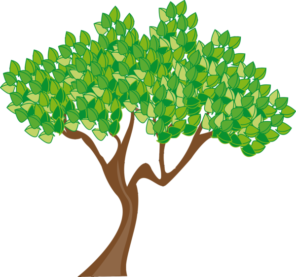 Transparent Tu Bishvat Green Leaf Tree for Tu Bishvat Tree for Tu Bishvat
