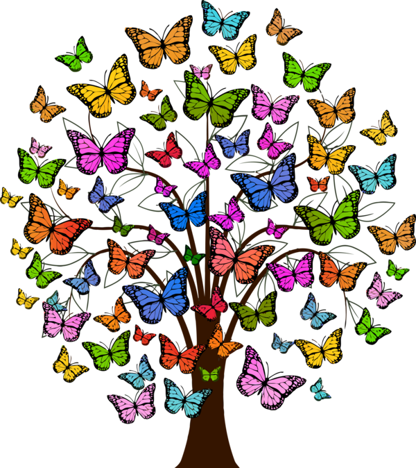 Transparent Tu Bishvat Butterfly Design Moths and butterflies for Tu Bishvat Tree for Tu Bishvat