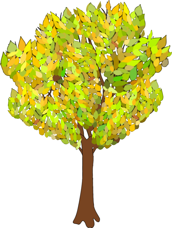 Transparent Tu Bishvat Tree Leaf Plant for Tu Bishvat Tree for Tu Bishvat