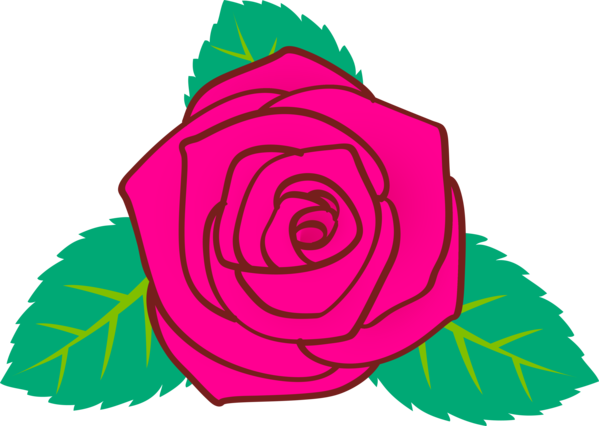 Transparent Valentine's Day Pink Rose Flower for Rose for Valentines Day