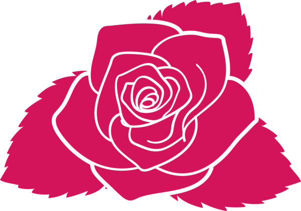 Transparent Valentine's Day Pink Rose Red for Rose for Valentines Day