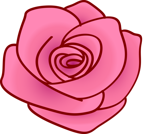 Transparent Valentine's Day Pink Red Rose for Rose for Valentines Day