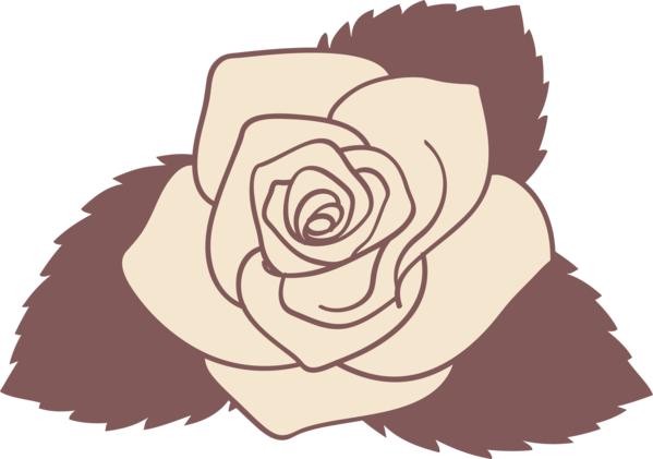 Transparent Valentine's Day Rose Drawing Rose family for Rose for Valentines Day