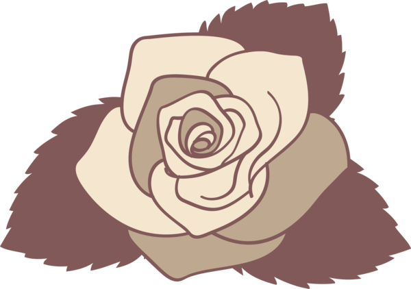 Transparent Valentine's Day Rose Rose family Drawing for Rose for Valentines Day