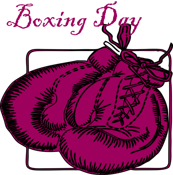 Transparent Boxing Day Magenta Line art for Happy Boxing Day for Boxing Day