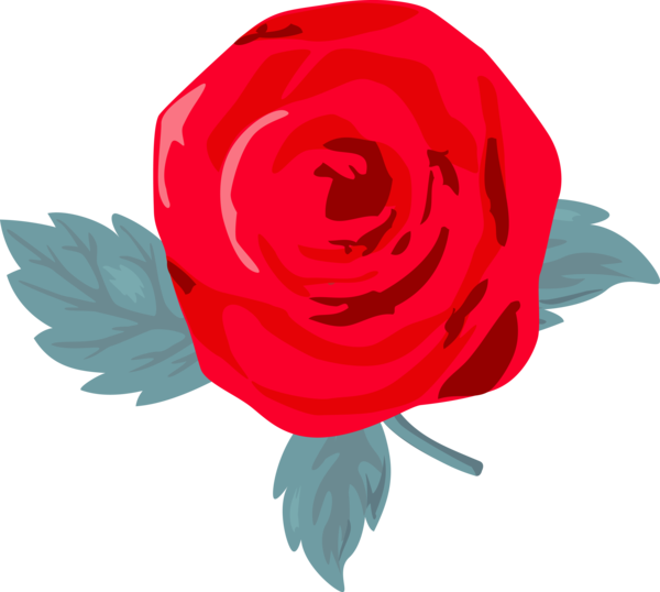 Transparent Valentine's Day Garden roses Red Rose for Rose for Valentines Day