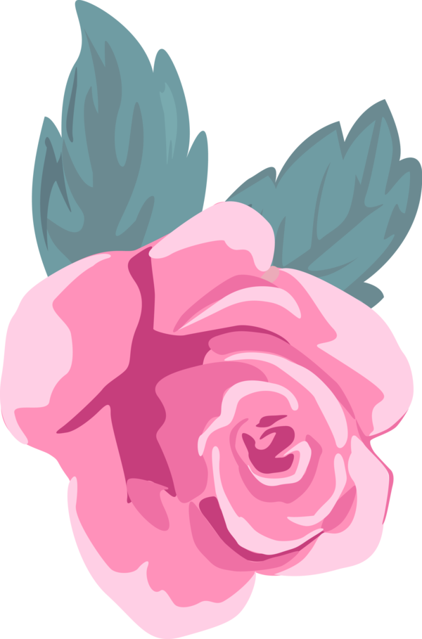 Transparent Valentine's Day Pink Flower Rose for Rose for Valentines Day