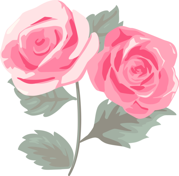 Transparent Valentine's Day Garden roses Flower Pink for Rose for Valentines Day
