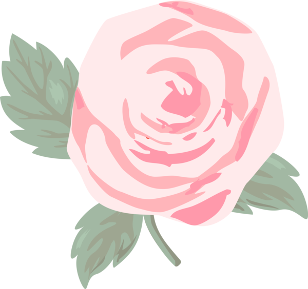 Transparent Valentine's Day Pink Flower Rose for Rose for Valentines Day