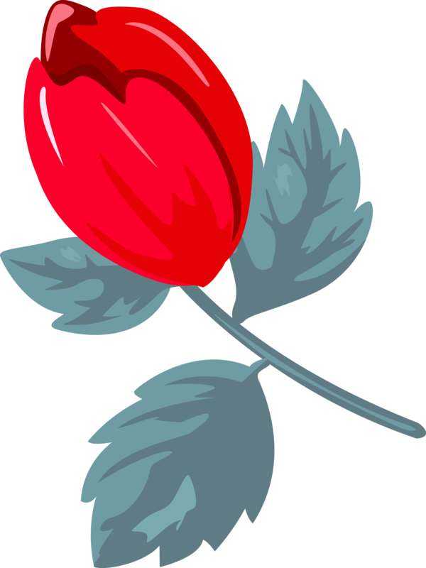 Transparent Valentine's Day Leaf Tulip Red for Rose for Valentines Day