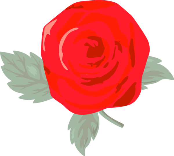 Transparent Valentine's Day Red Flower Rose for Rose for Valentines Day