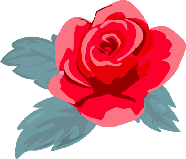 Transparent Valentine's Day Red Garden roses Flower for Rose for Valentines Day