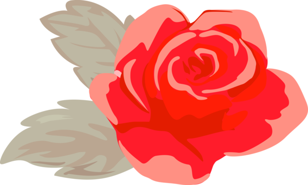 Transparent Valentine's Day Red Pink Petal for Rose for Valentines Day