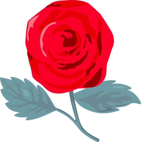 Transparent Valentine's Day Garden roses Rose Flower for Rose for Valentines Day