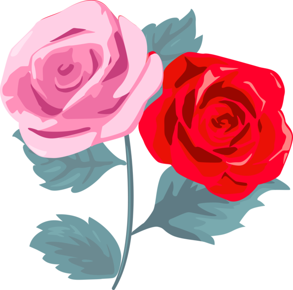Transparent Valentine's Day Garden roses Flower Rose for Rose for Valentines Day