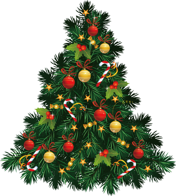 Transparent Christmas Christmas tree Christmas decoration Colorado spruce for Christmas Tree for Christmas