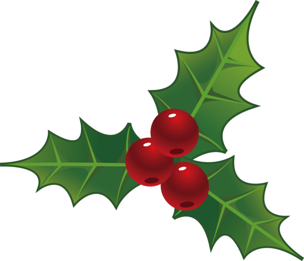 Transparent Christmas Holly Leaf American holly for Holly for Christmas