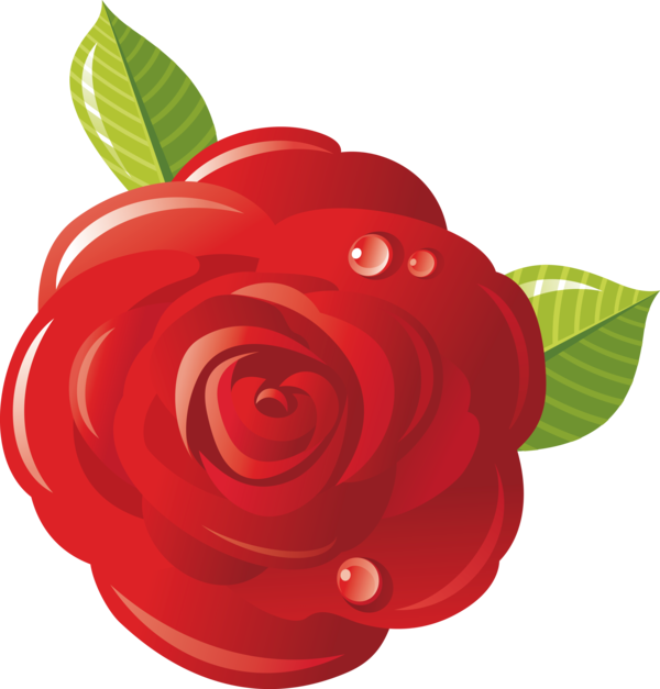 Transparent Valentine's Day Red Garden roses Rose for Rose for Valentines Day