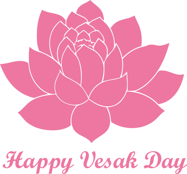 Transparent Vesak Pink Petal Lotus family for Buddha Day for Vesak