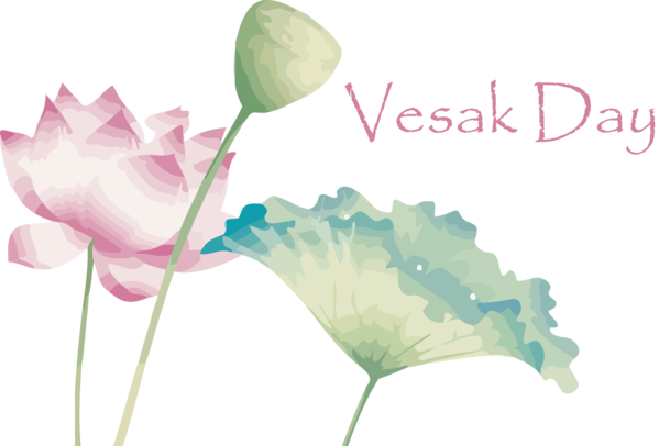 Transparent Vesak Flower Petal Plant for Buddha Day for Vesak