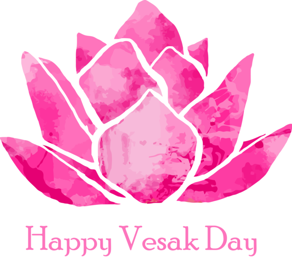 Transparent Vesak Pink Petal Magenta for Buddha Day for Vesak