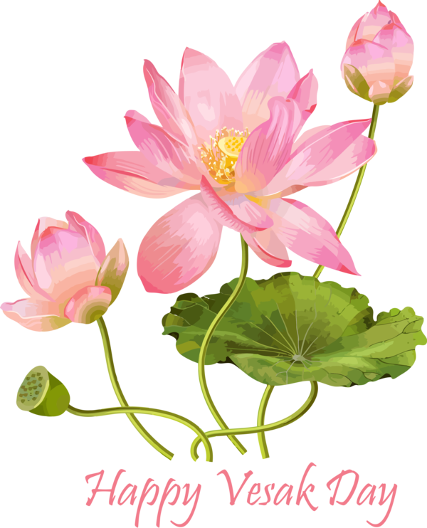 Transparent Vesak Flower Lotus family Lotus for Buddha Day for Vesak